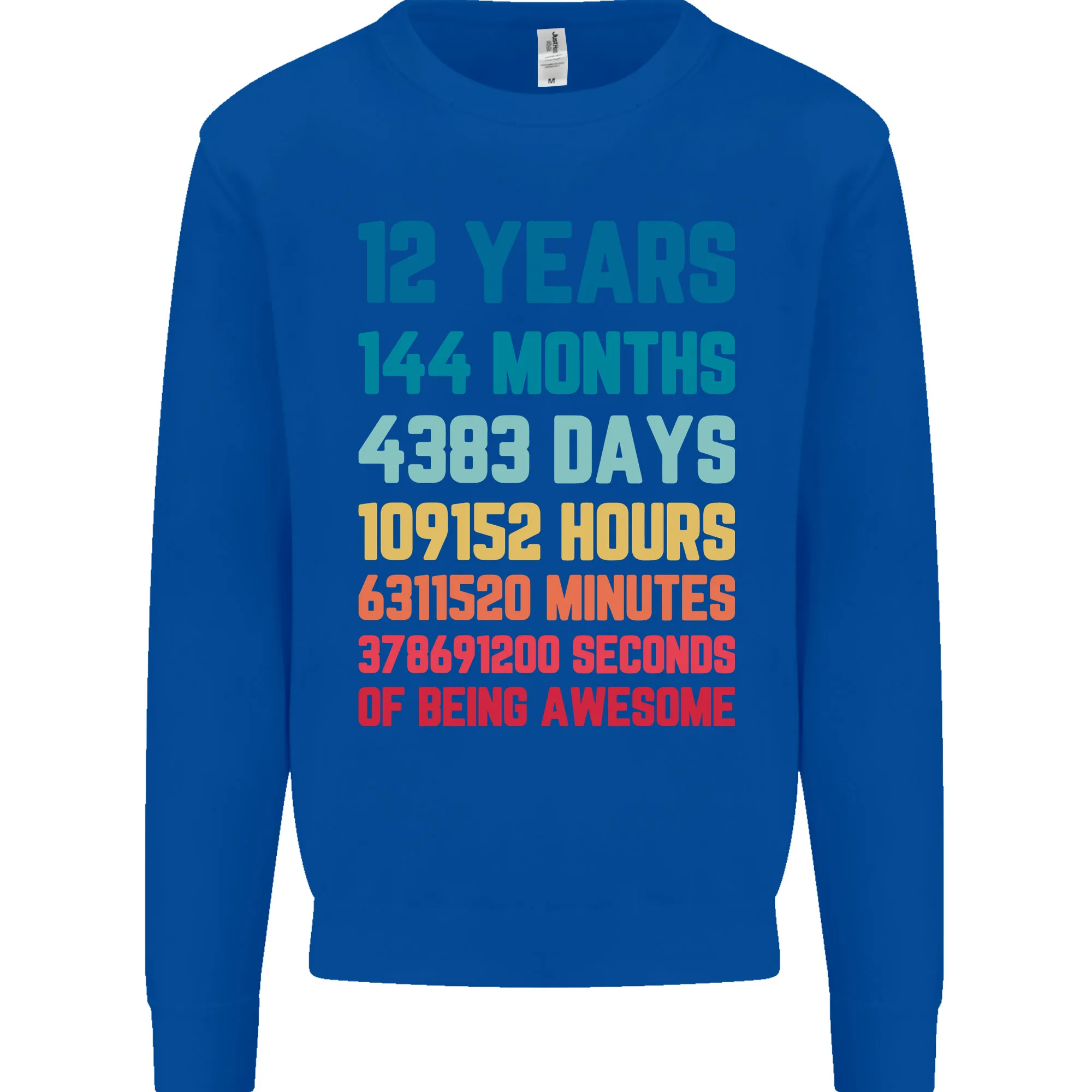 12th Birthday 12 Year Old Kids Sweatshirt Jumper