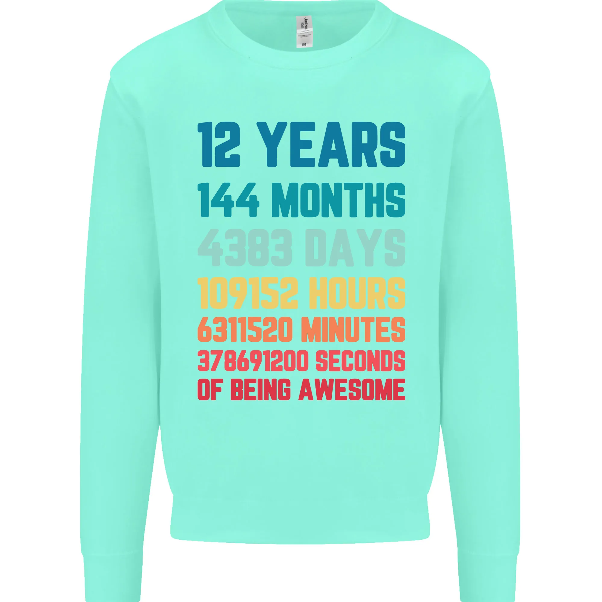 12th Birthday 12 Year Old Kids Sweatshirt Jumper