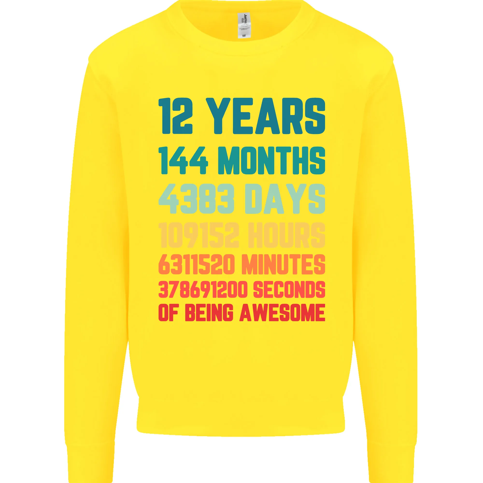 12th Birthday 12 Year Old Kids Sweatshirt Jumper