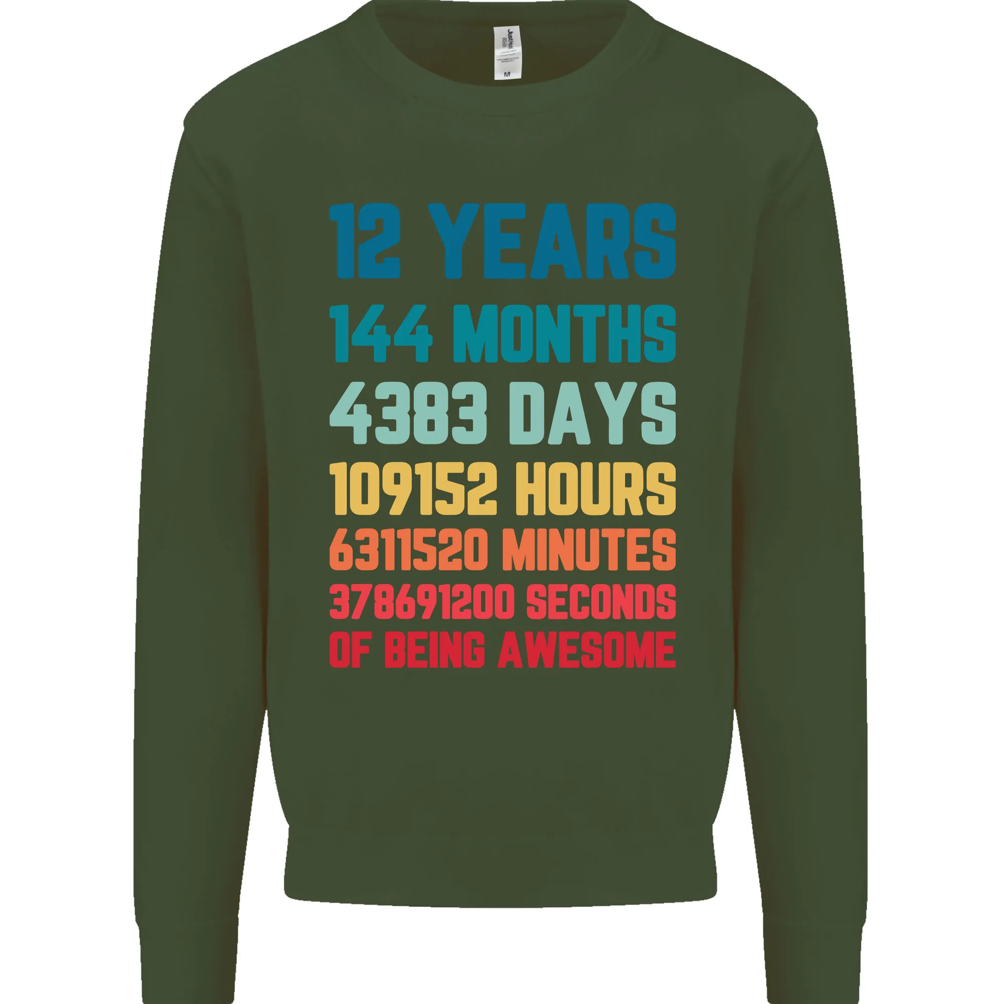 12th Birthday 12 Year Old Kids Sweatshirt Jumper