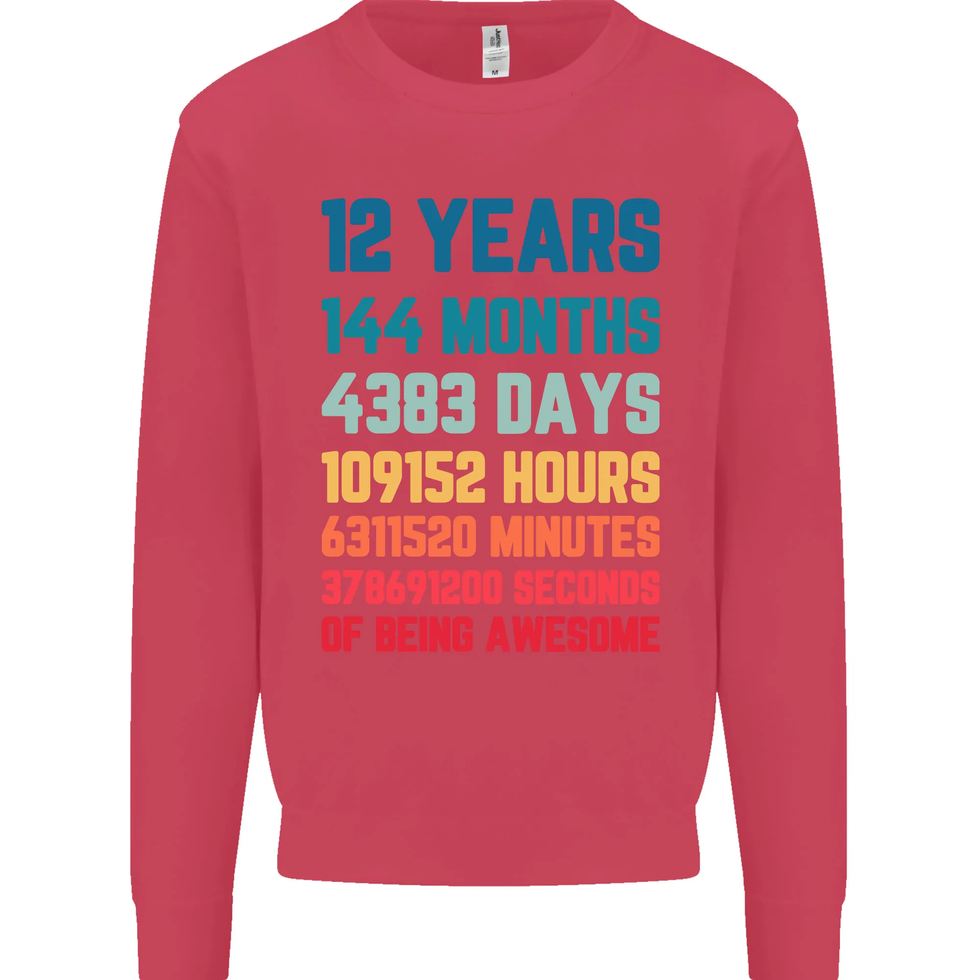 12th Birthday 12 Year Old Kids Sweatshirt Jumper