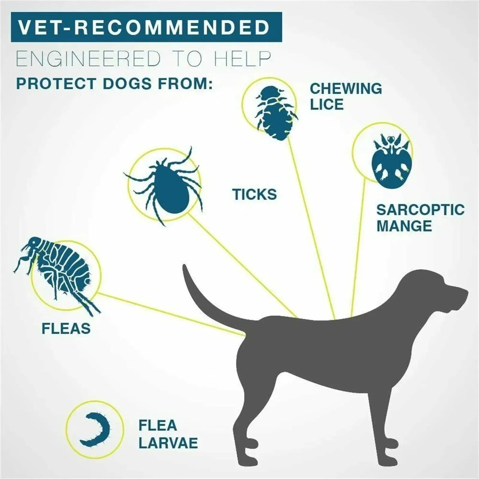 Anti-Chip Flea & Tick Collar for Cats & Dogs