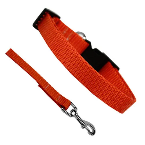 Basic Style Collar and Lead Set — Orange