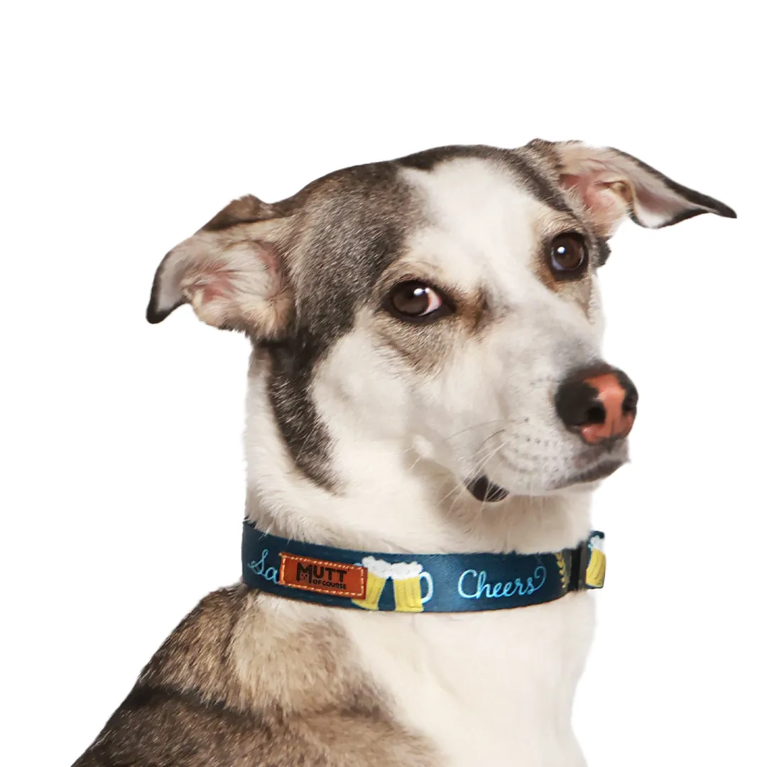 Beers N' Cheers Collar