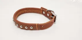 Brown Leather Dog Collar with Single Line of Silver Chrome Buttons - Tan - Small