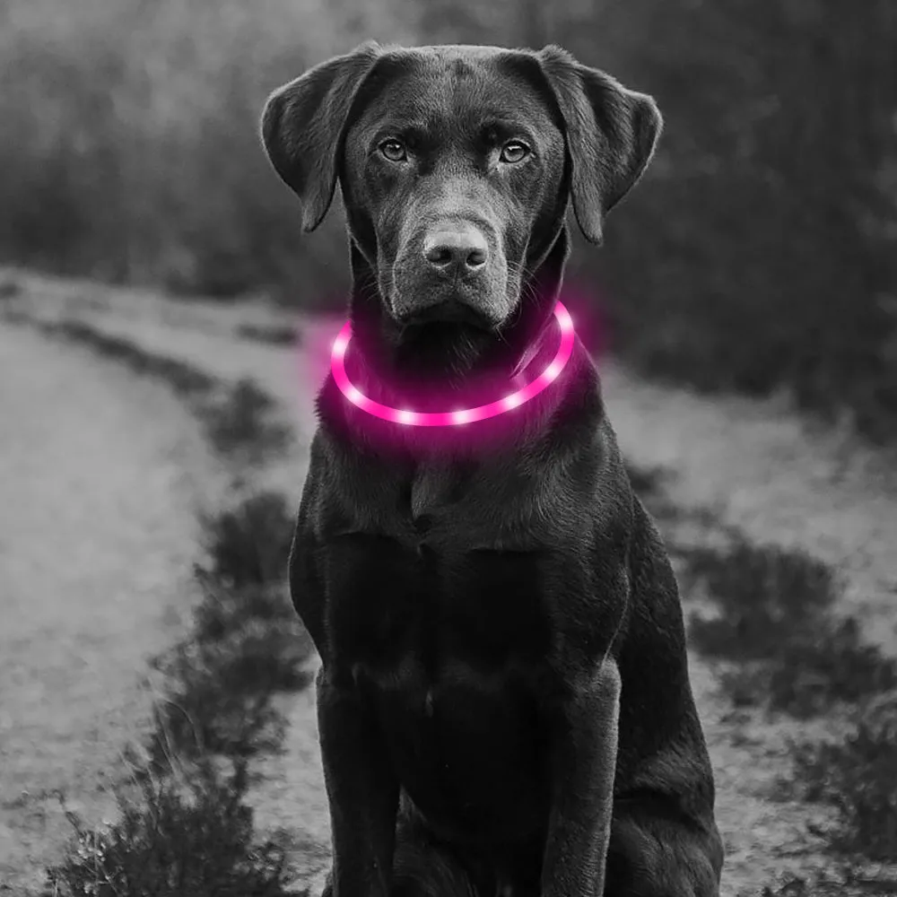 BSEEN Silicone LED Dog Collar