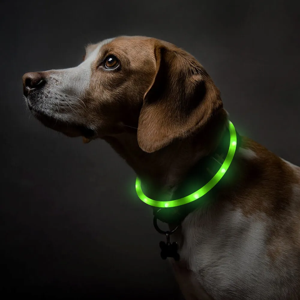 BSEEN Silicone LED Dog Collar