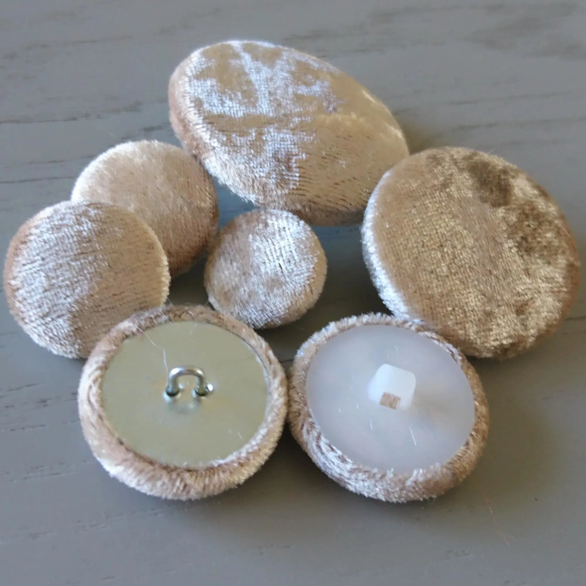 Champagne Velvet Buttons