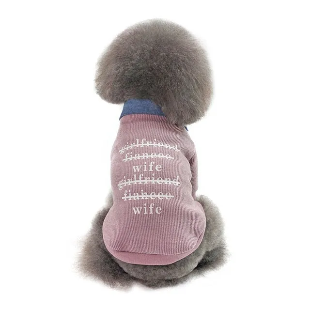 Cute Cardigan Over Collared Polo Winter Sweatshirt For Dogs