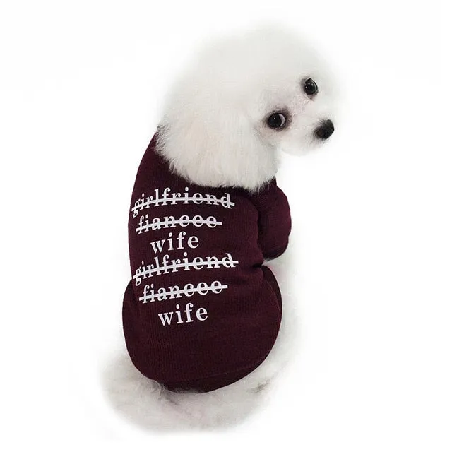 Cute Cardigan Over Collared Polo Winter Sweatshirt For Dogs