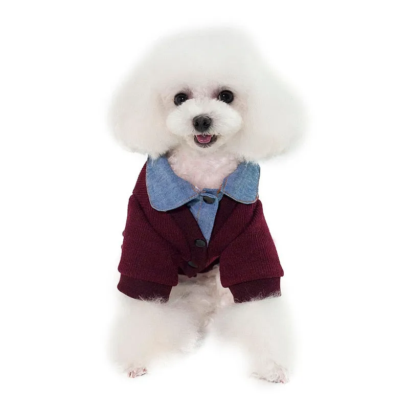 Cute Cardigan Over Collared Polo Winter Sweatshirt For Dogs