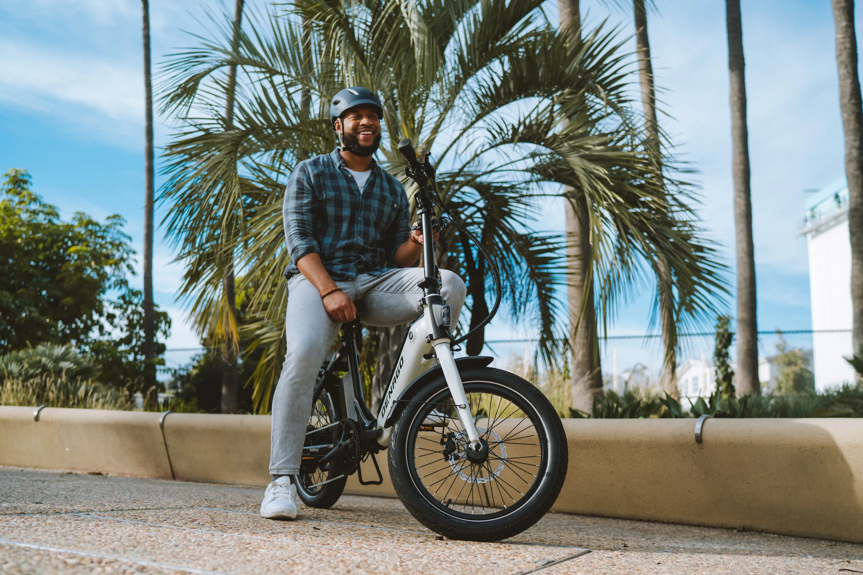 Denago Folding 1 eBike