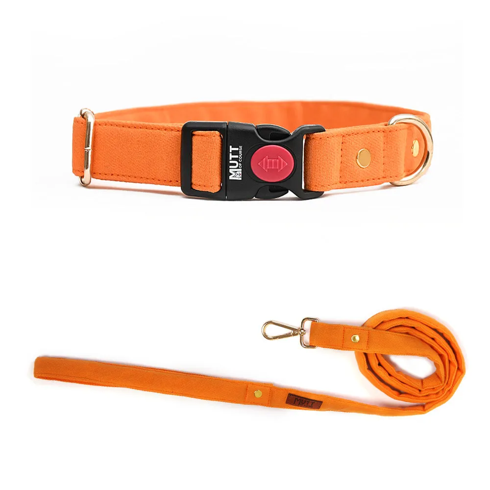 Gooseberry Collar   Leash (Water Resistant)