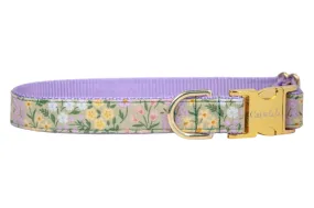 Green Meadow Dog Collar