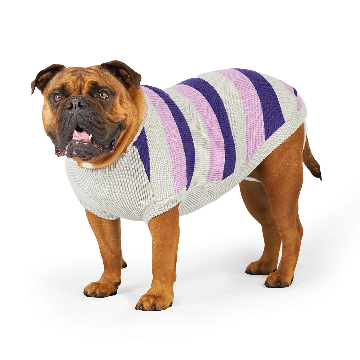 Kazoo Apparel Bumble Dog Jumper Lavender Intermediate Medium***