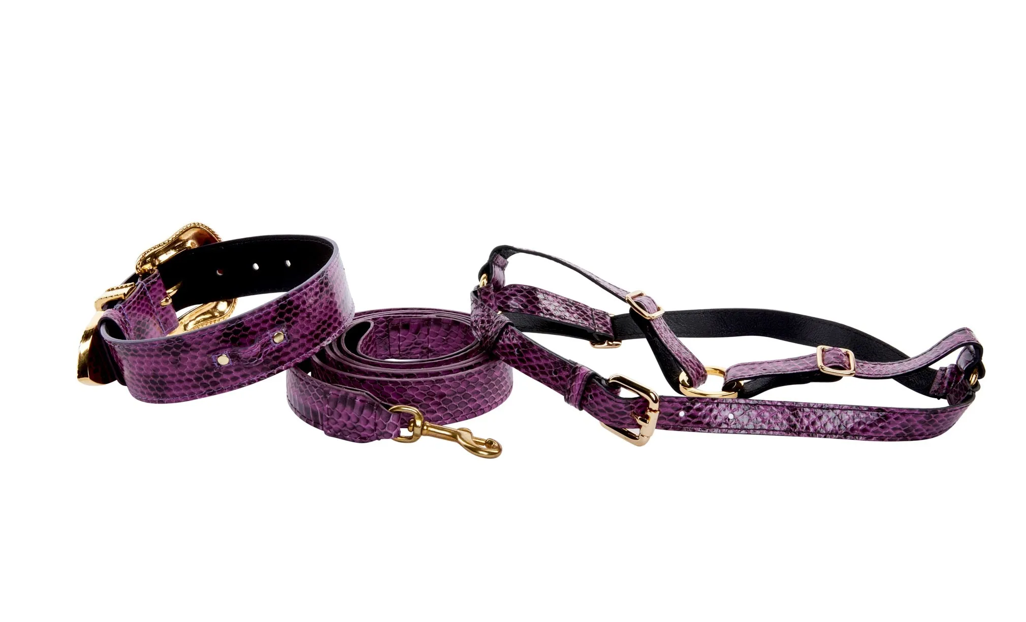 Luxury Pet Fashion Purple & Black Viper Snake Collar With Swarovski Crystal Hardware