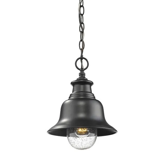 Millennium 2514 1-lt Outdoor Pendant