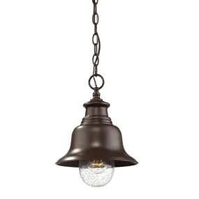 Millennium 2514 1-lt Outdoor Pendant