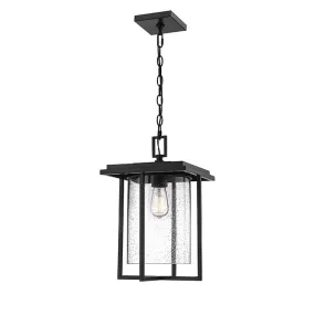 Millennium 2625 1-lt Outdoor Pendant