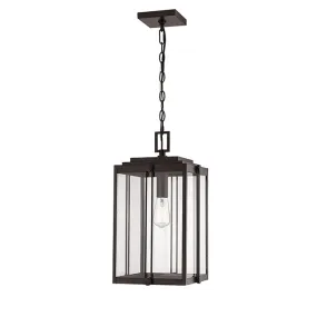 Millennium 2635 1-lt Outdoor Pendant