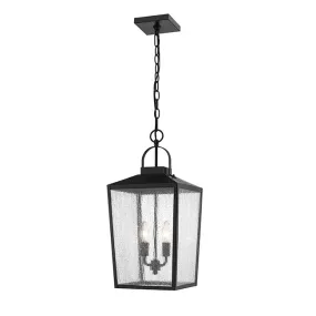 Millennium 2655 2-lt Outdoor Pendant