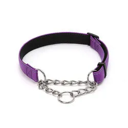 PAWS ASIA Factory Nylon Padded Reflective Adjusting Lightweight Large Dog Collar With Metal Chain