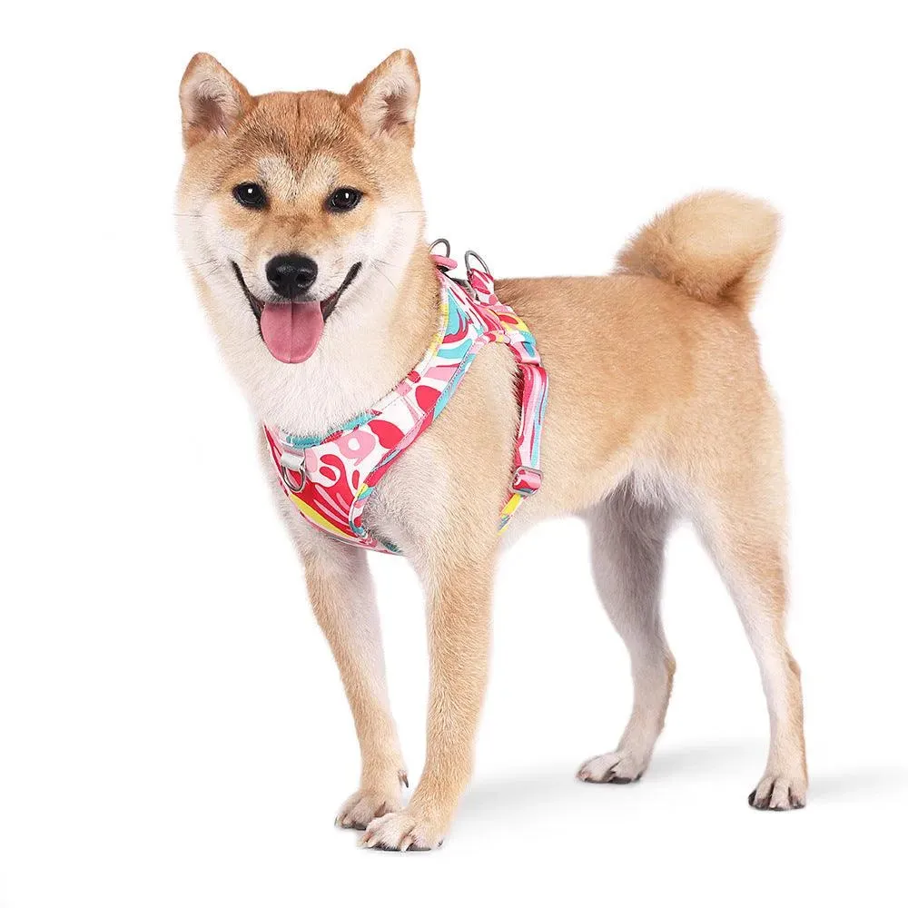 Printed Pet Chest Strap and Leash for Small Medium Dogs