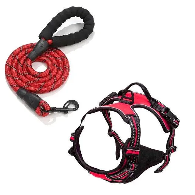 Printed Pet Chest Strap and Leash for Small Medium Dogs