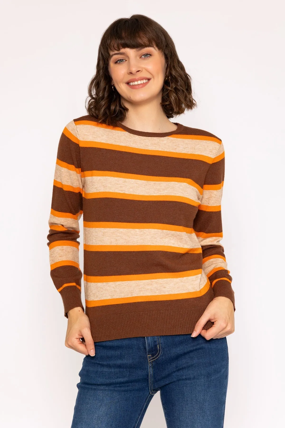 Soft Touch Stripe Knit Jumper in Brown