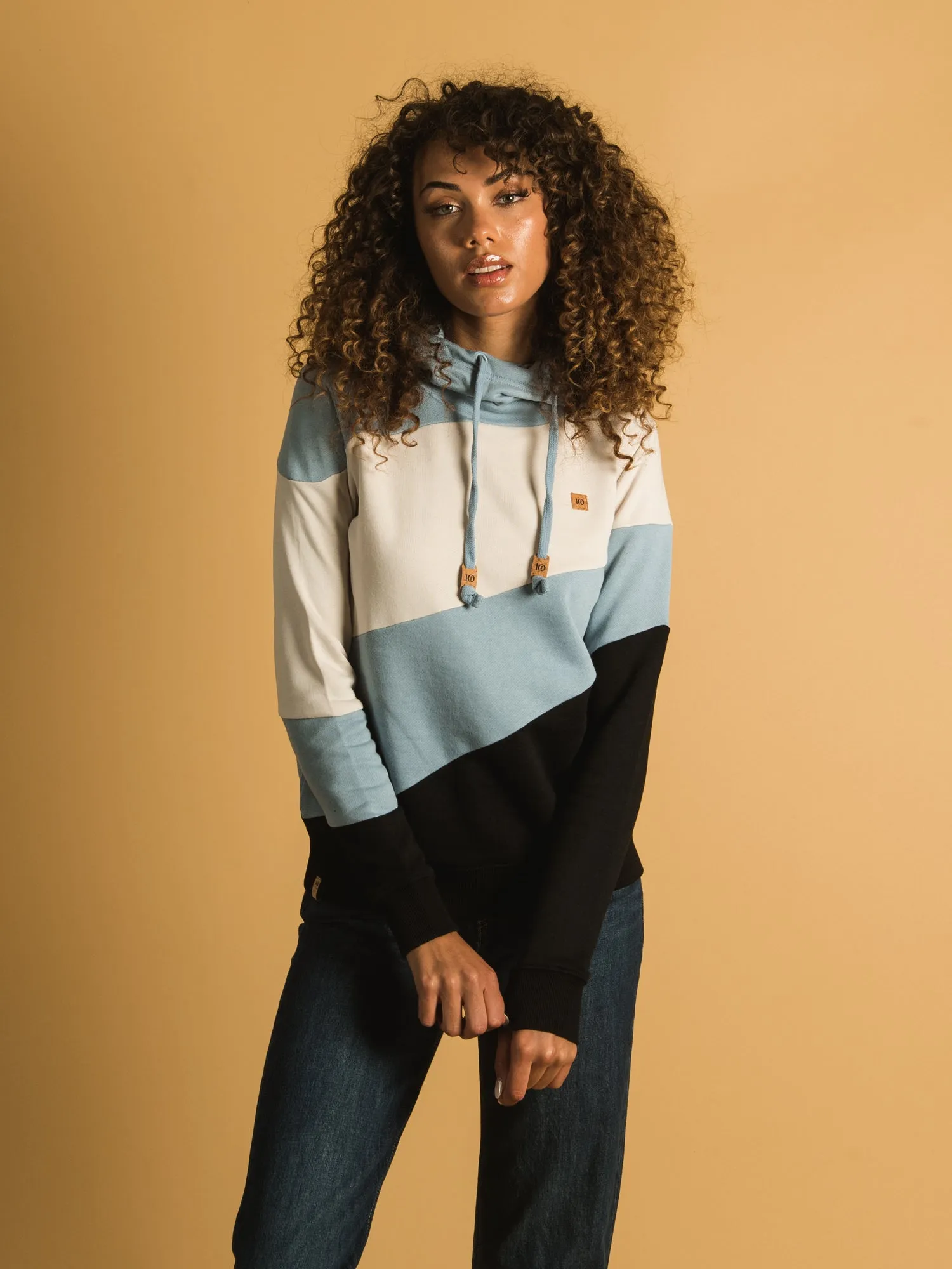 TENTREE ANGLE BLOCKED CORK HOODIE  - CLEARANCE