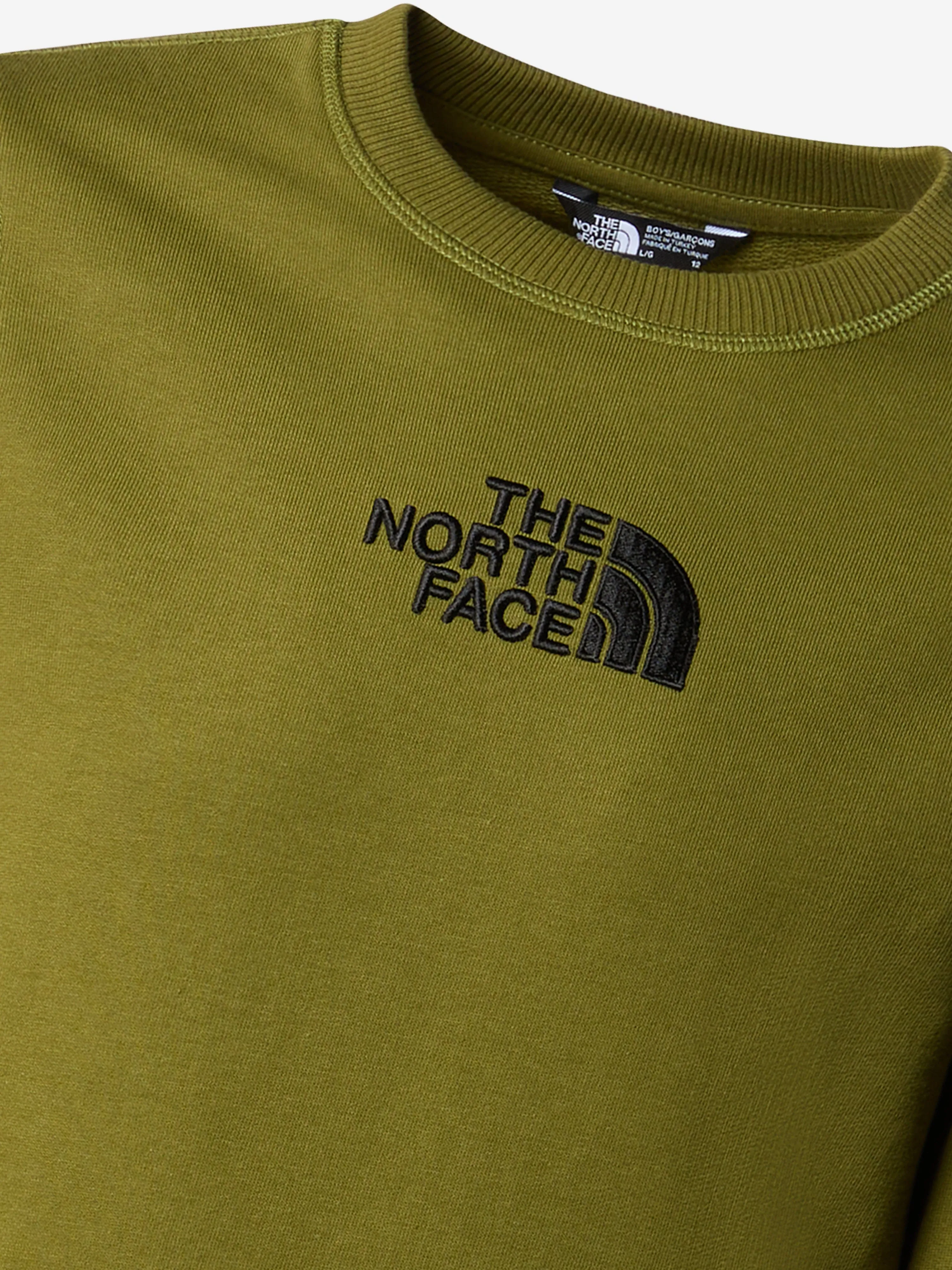 The North Face Boys Drew Peak Sweatshirt in Green