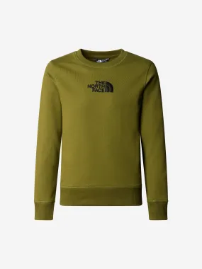 The North Face Boys Drew Peak Sweatshirt in Green